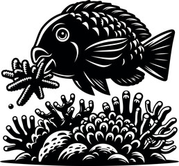 Parrotfish in coral reef, black and white illustration.