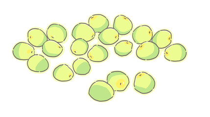たくさんの半分熟した梅の実のイラスト
