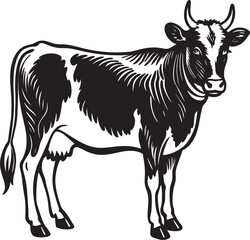 Obraz premium black and white cow
