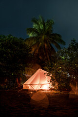 tent with light in the night with jungle trees palm and a sky with stars