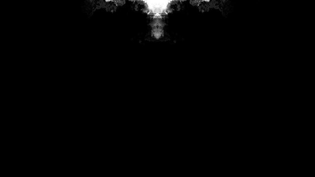 ink transition splatter blot spreading turbulent moving abstract painting animation background. Clean transition black and white design, stylish creative touch projects, film editing, motion graphics