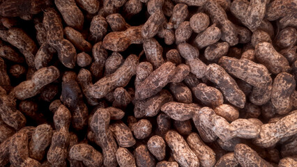 Raw Peanuts in Shell  at Traditional Market