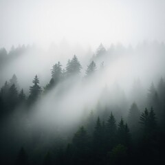 Ethereal Foggy Forest Landscape with Dense Pine Trees Shrouded in Mist, Creating a Mysterious and Tranquil Natural Scene