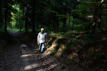 Senior man enjoying a peaceful walk with his dog on a sunny forest path, embracing the tranquility of nature in poland