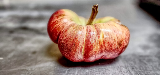 Unusual shape apple on display