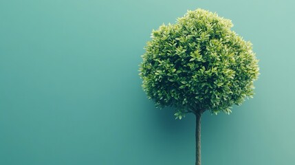 Un albero rigoglioso, con un tronco sottile e una chioma folta di foglie. Sfondo verde con ampio spazio per personalizzare il testo