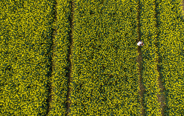 Family enjoying a slow life amidst blooming rapeseed fields in poland