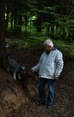 Elderly man enjoying slow life, exploring nature with his miniature schnauzer dog in a polish forest during springtime