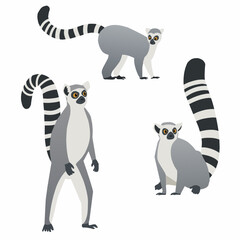 Cool flat style lemur vector set for your design
