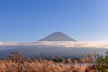 Mount Fuji symmetrical peak rises above Lake Kawaguchi, framed by a perfect cloud layer. The golden sunset light highlights swaying pampas grass
