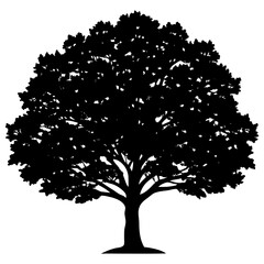 Fototapeta premium vector tree silhouette