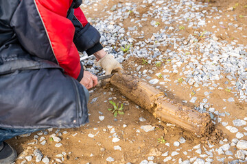 Man cutting and cleaning soil sample for laboratory analysis. Preparation of core material for geotechnical testing and scientific evaluatio