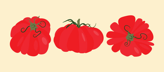 Set of heirloom tomatoes with green stems different shapes. Flat vector illustration isolated on light background. Colorful vegetable variety. Healthy eating and organic farming concept