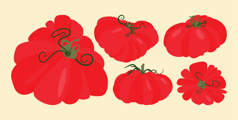 Set of heirloom tomatoes with green stems different shapes. Flat vector illustration isolated on light background. Colorful vegetable variety. Healthy eating and organic farming concept