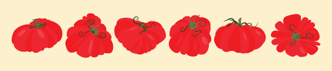 Set of heirloom tomatoes with green stems different shapes. Flat vector illustration isolated on light background. Colorful vegetable variety. Healthy eating and organic farming concept