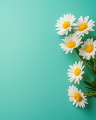 Fresh daisies arranged beautifully on vibrant turquoise background, creating cheerful and uplifting atmosphere