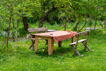 Outdoor dining area surrounded by lush greenery with decorated picnic tables and chairs