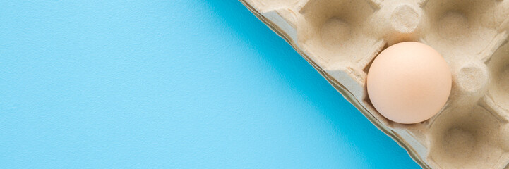 Brown egg in carton tray on light blue table background. Pastel color. Closeup. Wide banner. Empty place for text. Top down view.