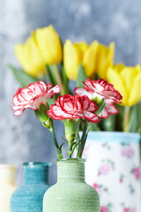 Carnation flowers and yellow tulips on bright background. Copy space.	