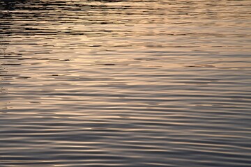Serene Water Surface with Gentle Ripples Reflecting Soft Light a