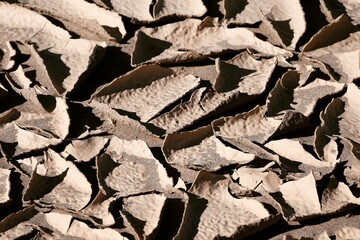 Abstract Cracked Earth Texture Showing Details of Dry Soil