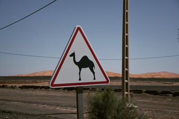 Caution: Camel Crossing Sign in Desert Landscape