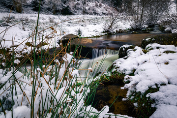 Schnee im Schwarzwald