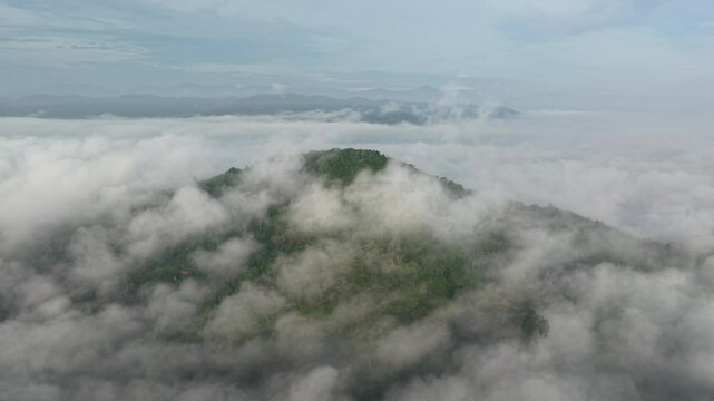 Breathtaking aerial view of lush tropical forest emerging through soft morning clouds. The vibrant green canopy contrasts beautifully with the misty white fog, creating a dreamy and serene landscape