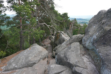 Die wunderschöne Natur und Landschaft beim Teufelsmauerstieg in Blankenburg im Harz