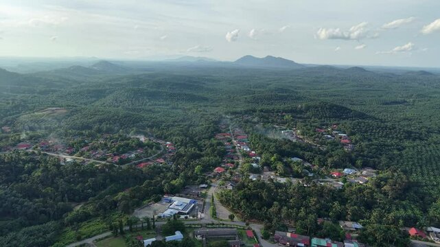 Aerial view of a local Malaysian oil palm plantation village in the morning. Warm sunlight filters through light mist, revealing rows of palm trees and scattered village homes.