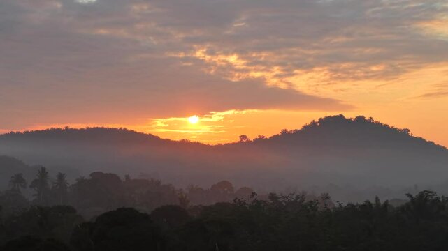 Dramatic morning sunrise over an Asian oil palm plantation. Golden light pierces through low mist, casting long shadows across neat rows of palm trees and creating a warm, cinematic landscape.