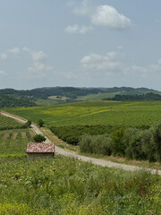 panorama in monferrato