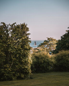 Tranquil coastal scene framed by lush green foliage, with a solitary sailboat gliding peacefully on the calm blue sea under a clear sky. Ideal for themes of nature, relaxation, travel, and summer.