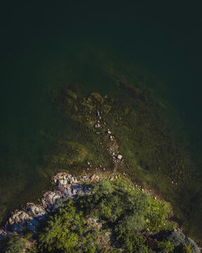 Top-down view of a rocky shoreline where green vegetation meets clear, shallow waters. Textures of stone and underwater life create a captivating natural pattern.