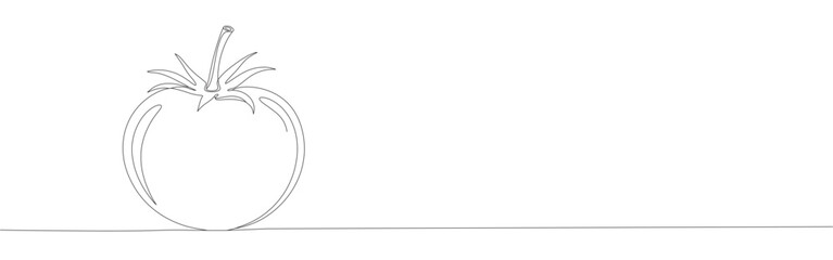 Tomato continuous one line drawing. Fresh vegetable.