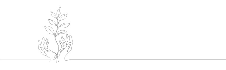 Hands Holding Green Sprout Environment, Ecology, Growth, Plant, Future.