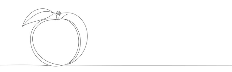 Fresh peach continuous one line drawing. Japanese white peach with leaves.