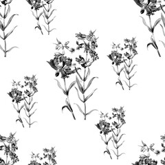 black and white roses