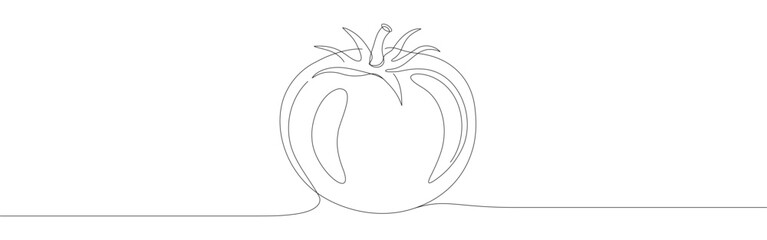 Tomato continuous one line drawing. Fresh vegetable.