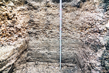 Edaphology. Soil section on Arabatskaya Strelka separating Sivash from Azov 700 years old spit....