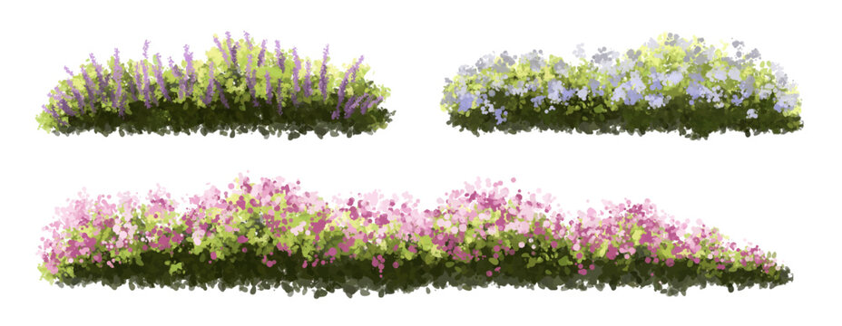 Vector of tree or blooming  side view isolated on white background ,watercolor tree elevation for landscape concept,environment scene,eco design,blossom garden for spring