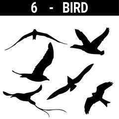 Vector Bird flying. tattoo, wallpaper, design sketch, background design. set on white background.