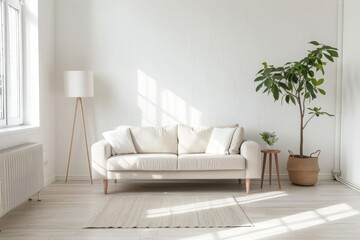 Minimalist living room