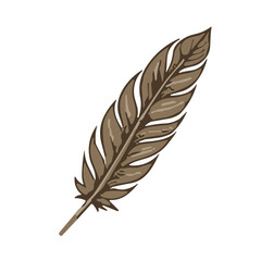 Fototapeta premium Detailed quill pen drawing in beige and brown represents creative writing
