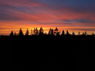 sunset over the woods