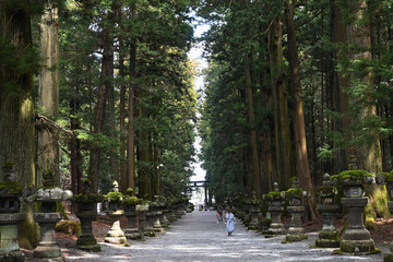 神秘的な北口本宮冨士浅間神社の杉林参道