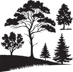 Obraz premium Silhouette Various trees