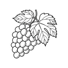 Tropical and Subtropical Fruits Coloring Book for Kids