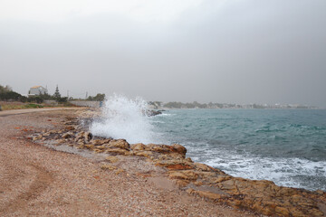 Waves crash against rocks in caribbean sea. sargasso seaweeds invade every surface.
