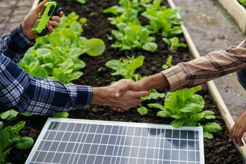 Close-up of farmer's hands checking solar panels